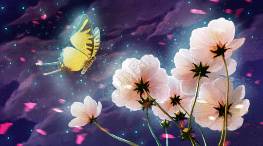 夜空下在花丛飞舞的蝴蝶插画gif动图图片