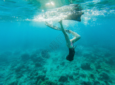 海底水面图片 海底水面素材 海底水面模板下载 摄图网