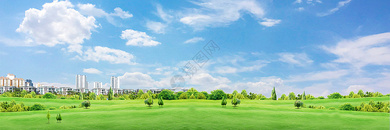 绿色草地环保背景图片
