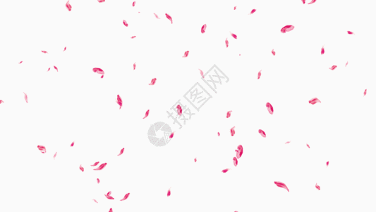 数码科技背景粉色花瓣gif高清图片