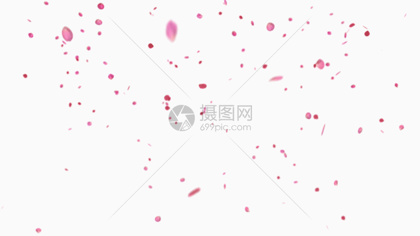 玫瑰花瓣飘落gif