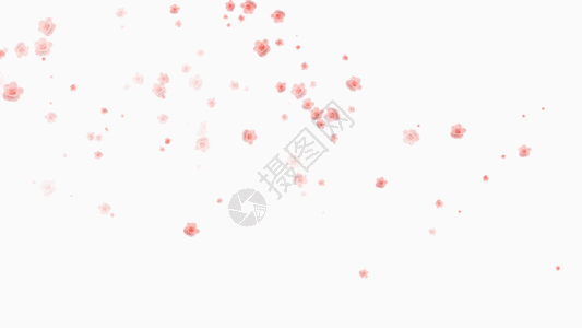 红上血的素材花瓣gif高清图片