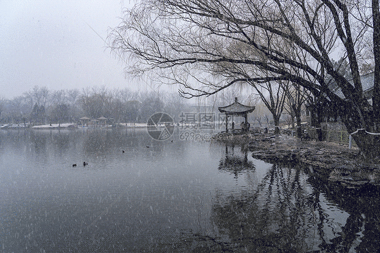 雪gif动图动图图片-正版gif素材401399178-摄图网