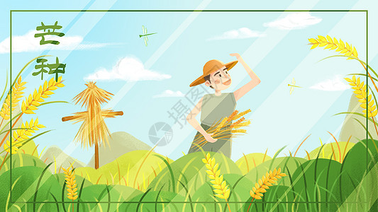 芒种稻种成熟农作物收割新耕作背景图片