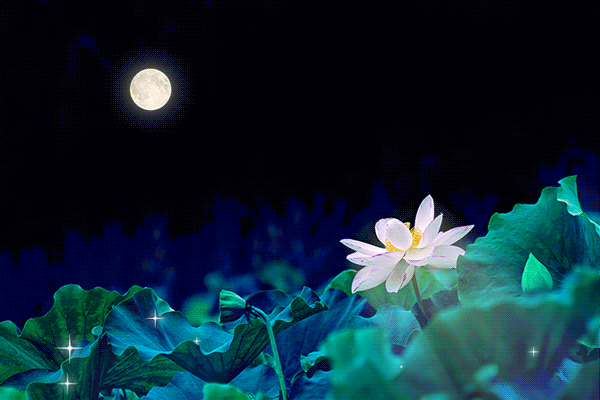 荷塘月色gif动图动图图片-正版gif素材401402445-摄图网