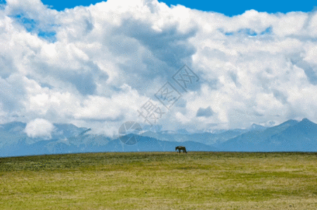 纯天然 精油新疆天山牧场美景gif动图高清图片