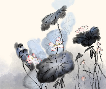 水墨写意荷花插画