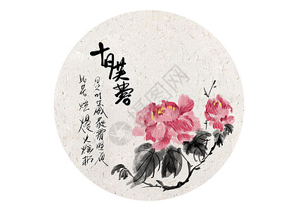 十月芙蓉花卉芙蓉花高清图片