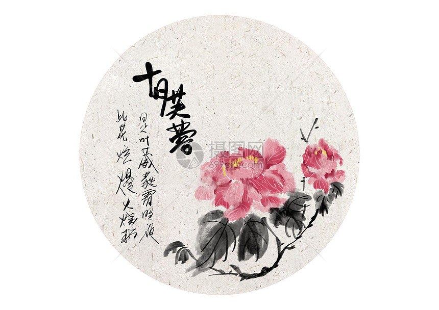 十月芙蓉插画图片下载 正版图片 摄图网