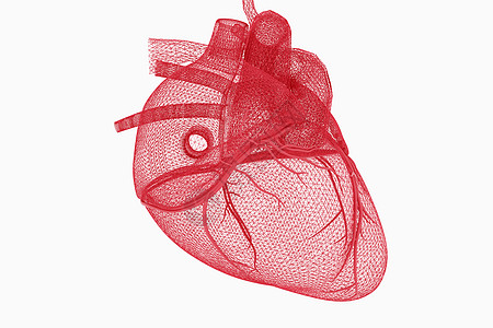 心脏模型创意器官线条场景设计图片