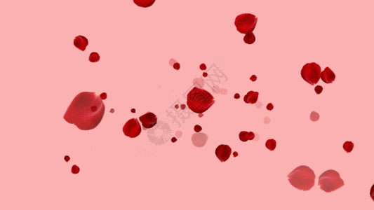 红色的玫瑰红色玫瑰花瓣粒子GIF高清图片