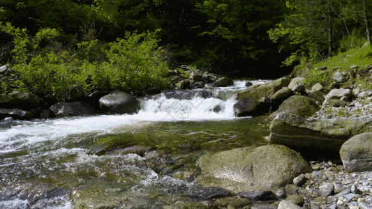 实拍溪水流动GIF夏天高清图片素材