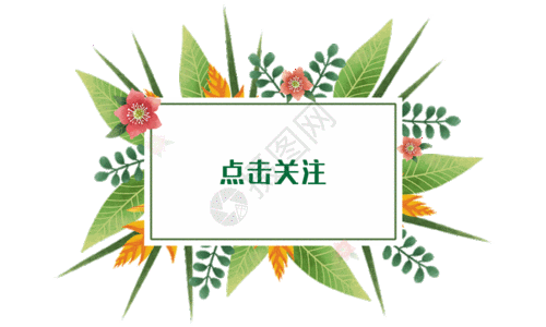 点击关注小清新花卉gif动图图片素材