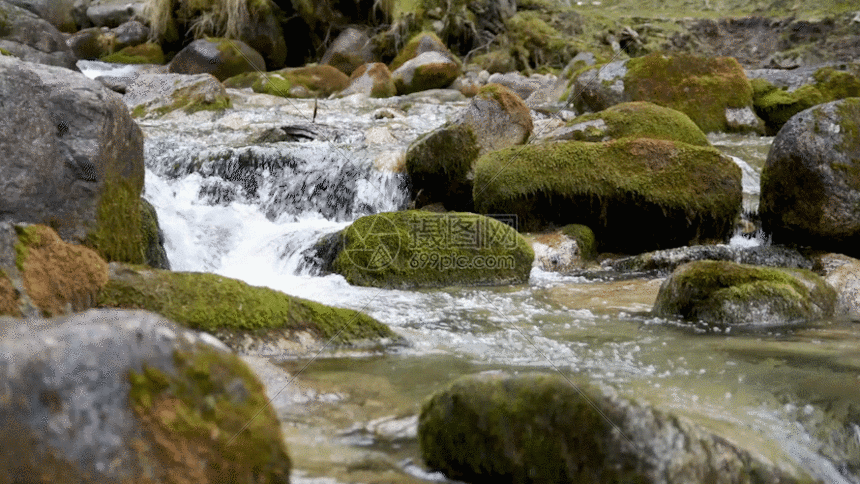 山涧溪流流水水资源森林gif动图图片-正版gif素材401445638-摄图网