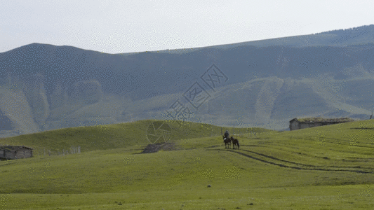 山马新疆牧场牧民生活马匹骑马GIF高清图片