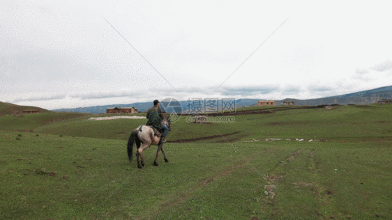 新疆天山牧场牧民骑马生活牲畜马匹GIF图片