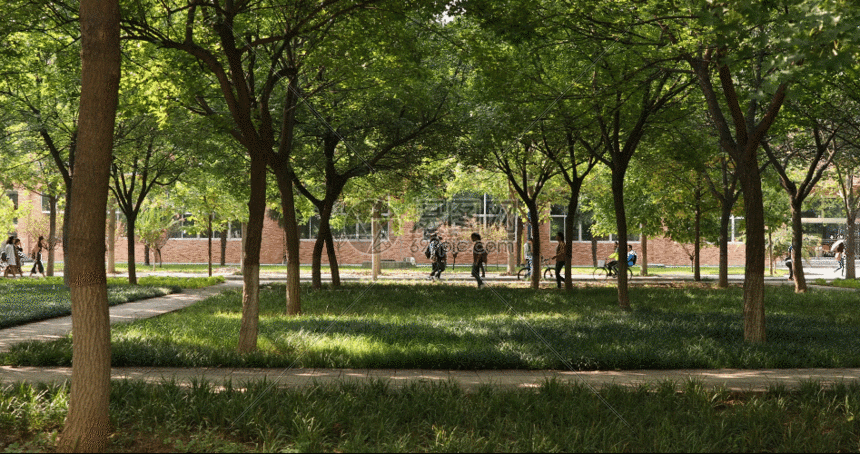 校园 树木gif动图图片-正版gif素材401445944-摄图网