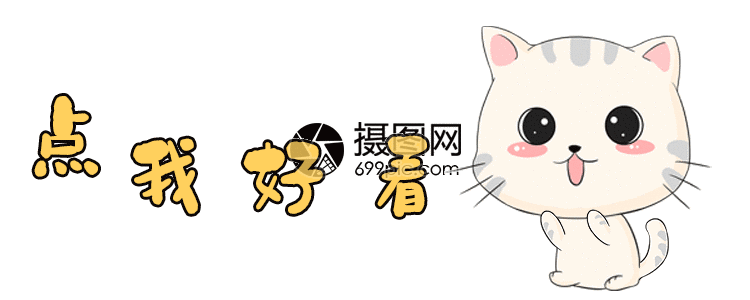 点好看可爱猫咪gif动图动图图片 正版gif素材 摄图网