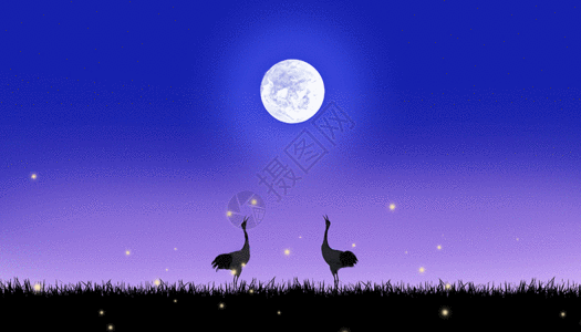 夜景草地月光下的仙鹤gif动图高清图片