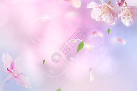 高清图片花朵泡泡背景高清图片梦幻泡泡背景banner高清图片梦幻泡泡