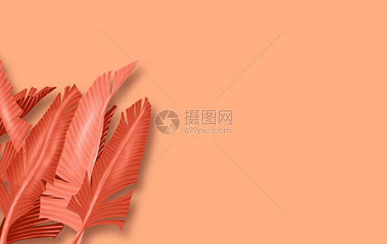 创意色彩背景图片