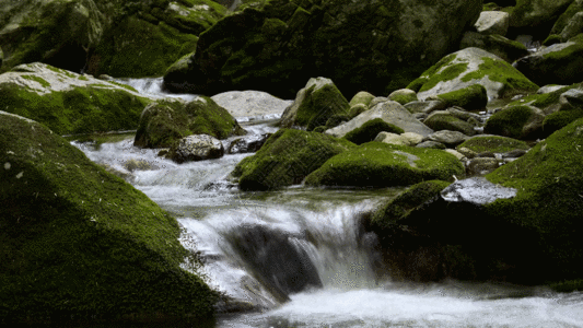 溪水流动延时素材GIF图片