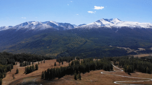 蜿蜒的山路森林雪山GIF高清图片