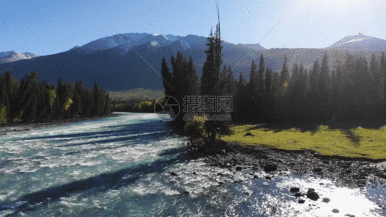 新疆喀纳斯雪山河流GIF图片