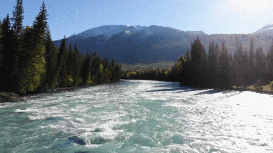 gifgif  |草原牦牛gifgifgif  |新西兰冰川gifgifgif  |雪山风光gif