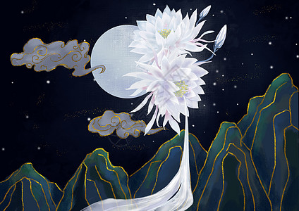 昙花壁纸图片