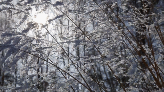 林海雪原GIF图片