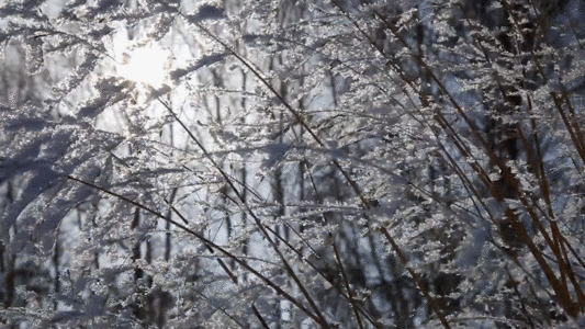 白桌白椅林海雪原GIF高清图片