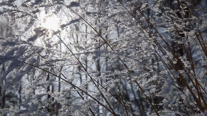 林海雪原GIF图片
