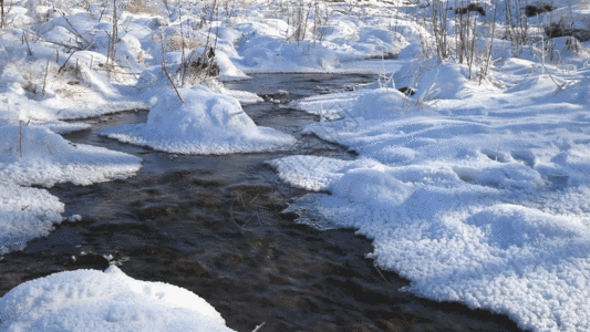 森林雪景冰雪融化GIF高清图片
