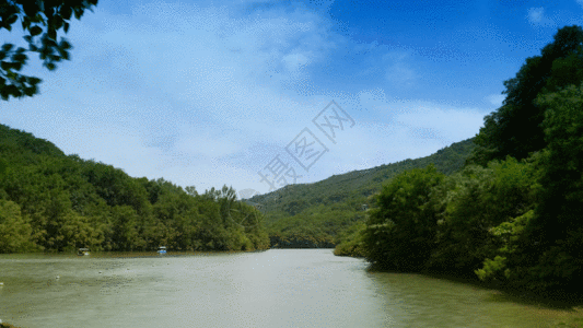 植物河流GIF竹林高清图片素材