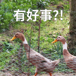 搞笑pppt有好事聊天表情包gif高清图片