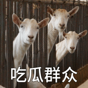 羊表情包图片 羊表情包素材 羊表情包高清图片 摄图网图片下载 羊表情包图片 羊表情包素材 羊表情包高清图片 摄图网图片下载