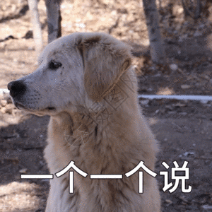 狗gif图片 狗动态图 狗gif格式下载 摄图网