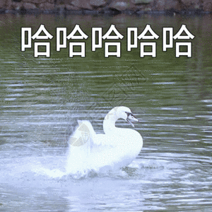 大笑嘴哈哈哈聊天表情包gif高清图片