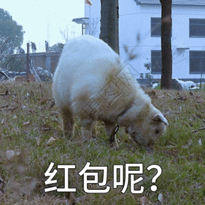 找羊图片 找羊素材 找羊高清图片 摄图网图片下载 找羊图片 找羊素材 找羊高清图片 摄图网图片下载