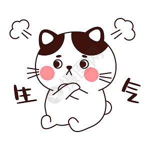 生气的猫图片