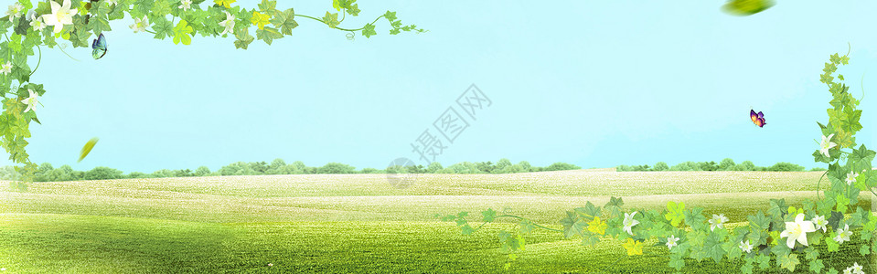 夏日草地背景图片
