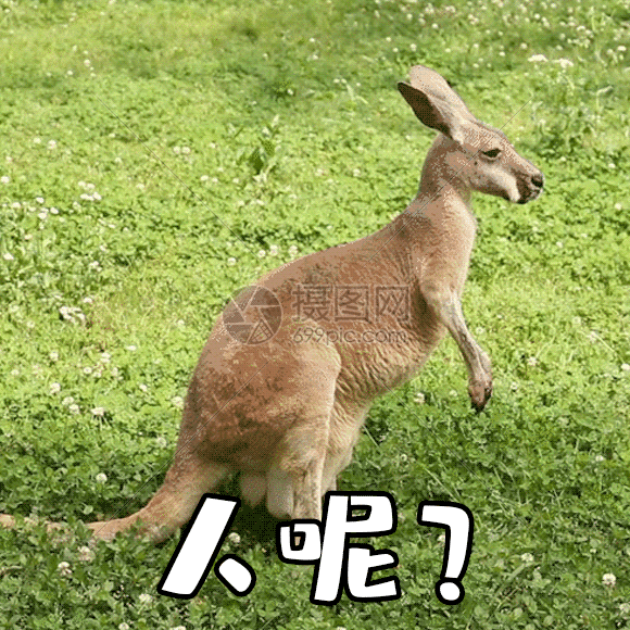 人呢聊天表情包gif