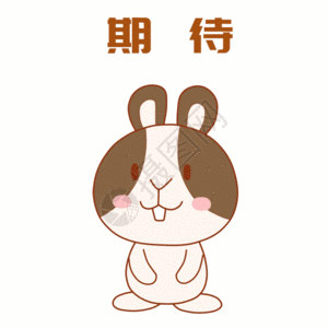 可爱兔表情包图片