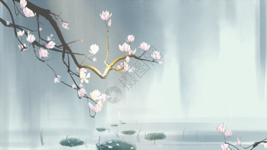 中国风手绘玉兰花插画gif动图图片