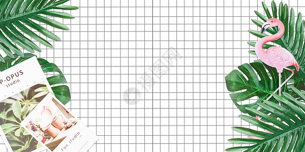 火烈鸟系列小清新植物背景设计图片