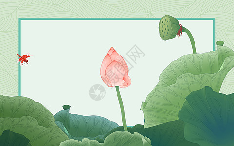 植物图含苞待放的荷花插画