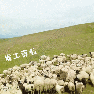 羊表情包图片 羊表情包素材 羊表情包高清图片 摄图网图片下载 羊表情包图片 羊表情包素材 羊表情包高清图片 摄图网图片下载