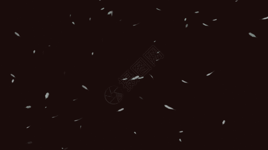 羽毛飘落gif图片素材