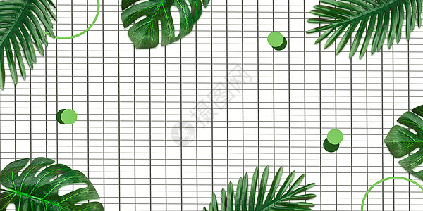 Ins风植物背景图片素材 正版创意图片 摄图网